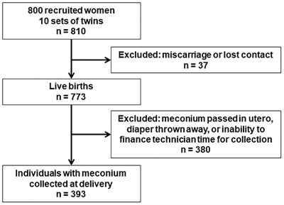 Association of Prenatal Acetaminophen Exposure Measured in Meconium With Adverse Birth Outcomes in a Canadian Birth Cohort
